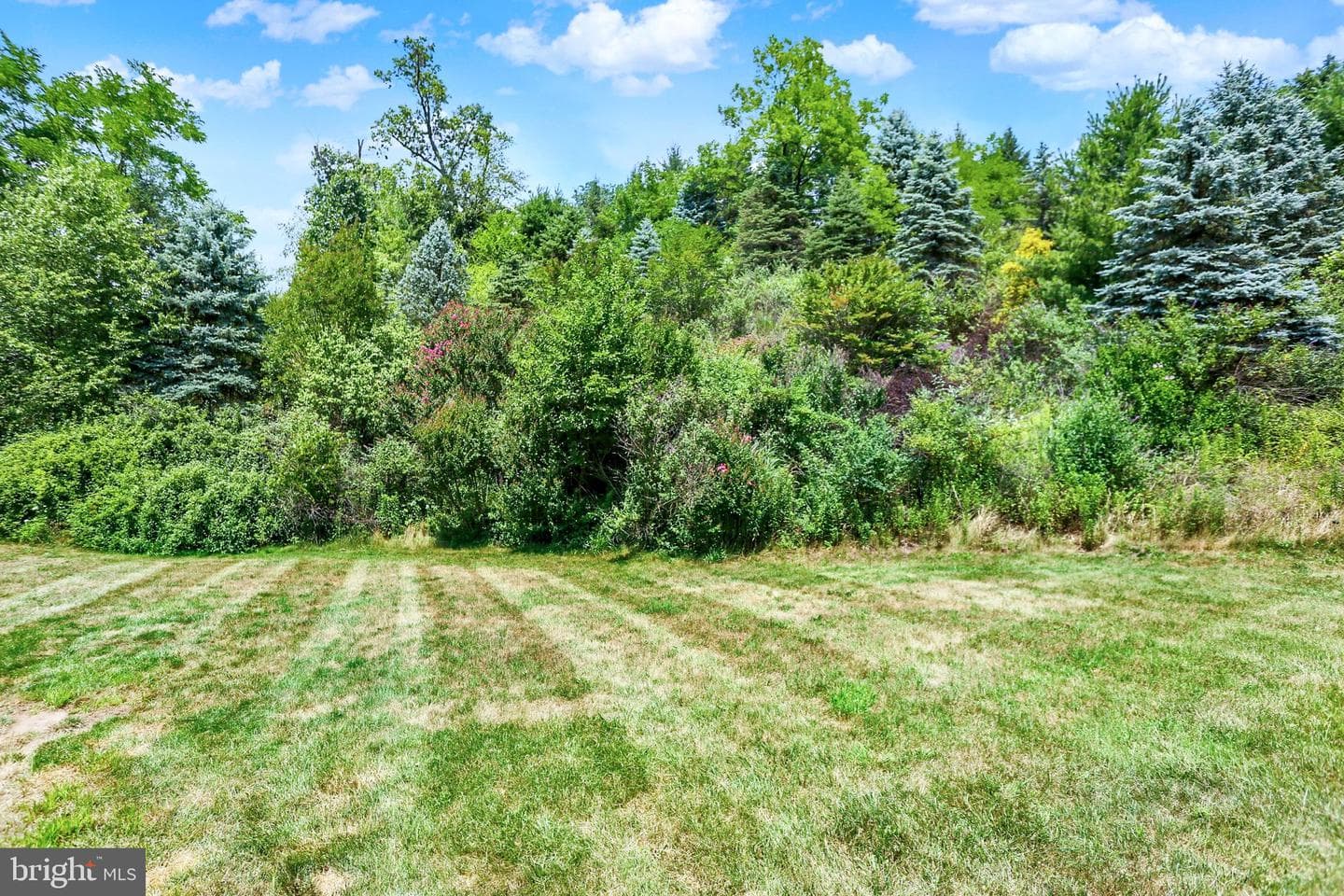 107 Red Haven Road photo 47