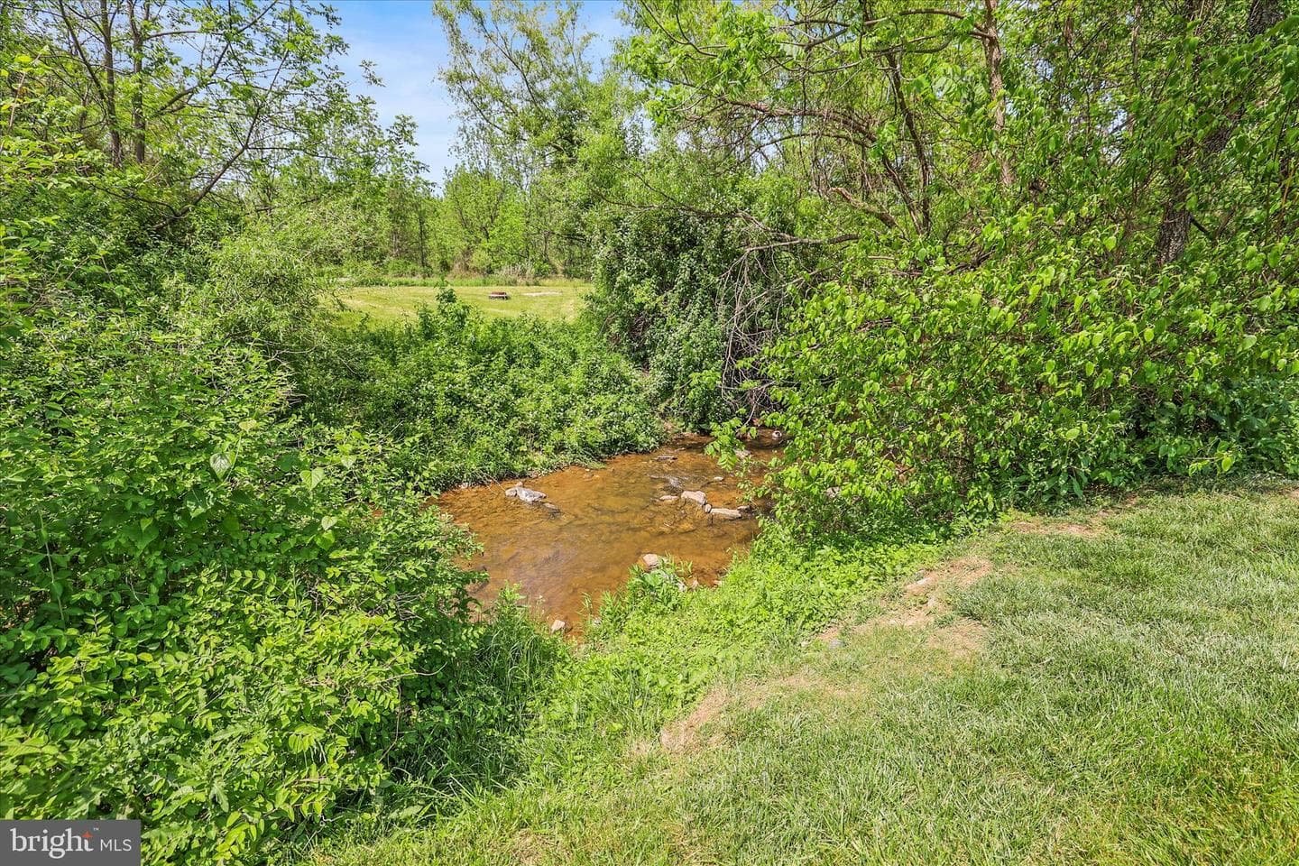 5 Surrey Lane photo 44