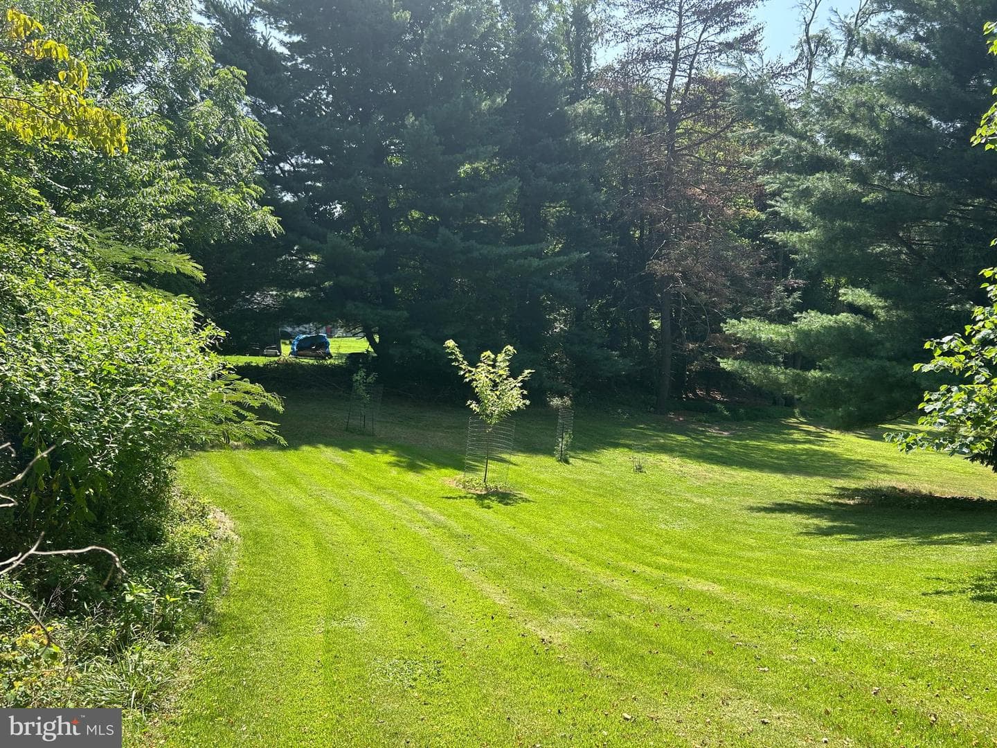 502 Bowman Avenue photo 45