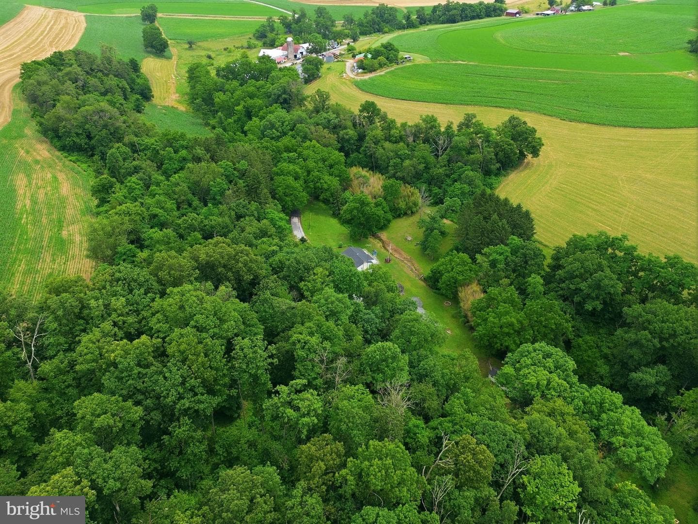 3362 Myers School Road photo 65