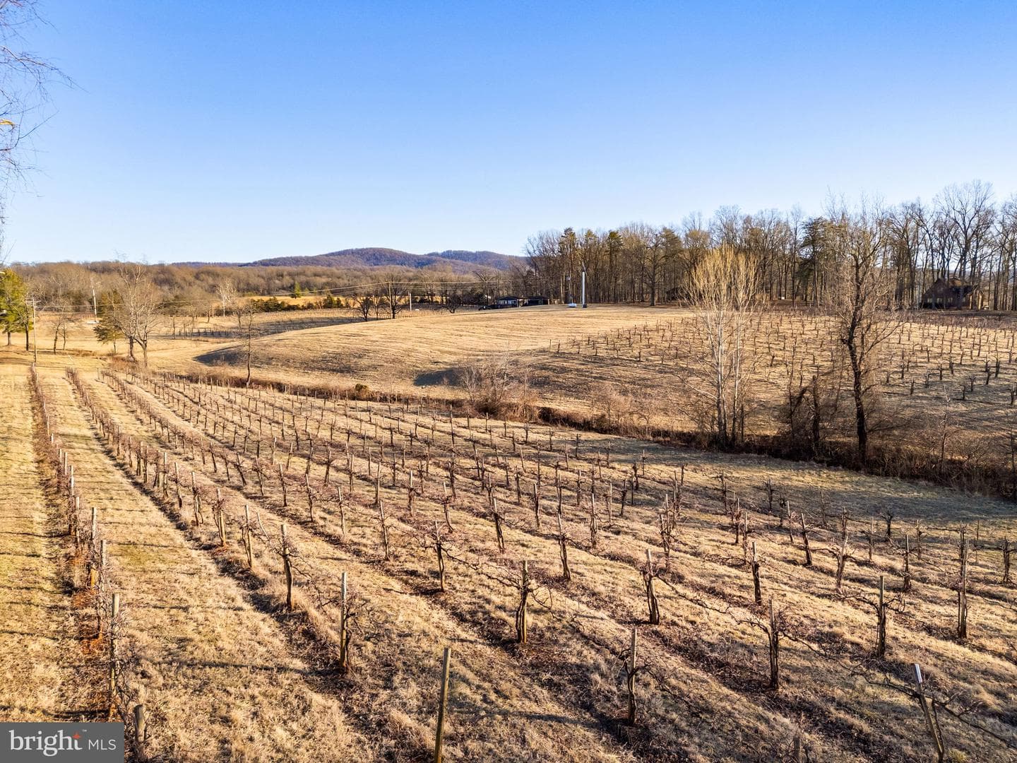 4500 Winery Lane photo 9