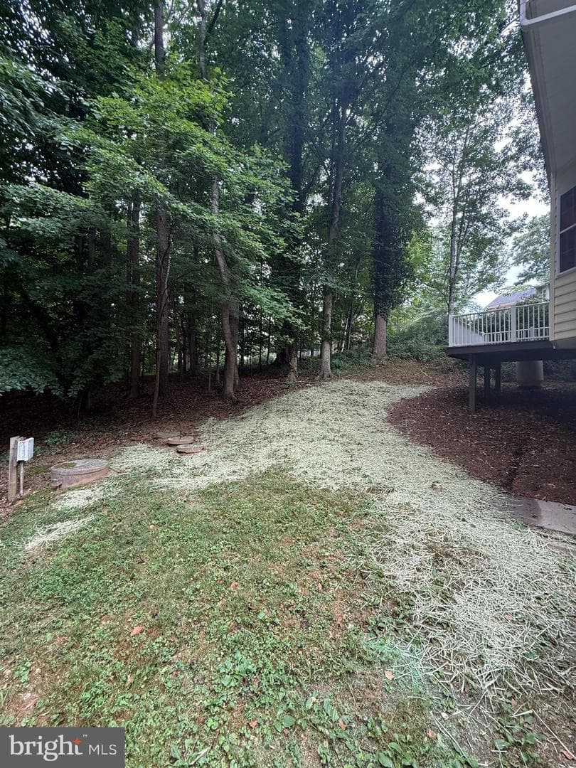 305 E Monacan Drive photo 13