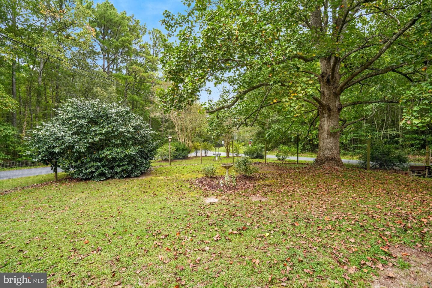12564 Hacks Neck Road photo 8