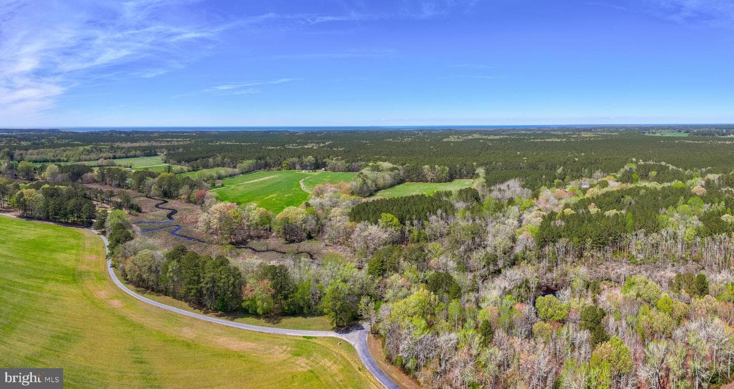 26355 Mount Nebo Road photo 3