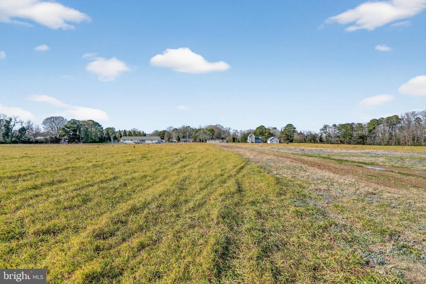 8005 Hickman Farm Road photo 48