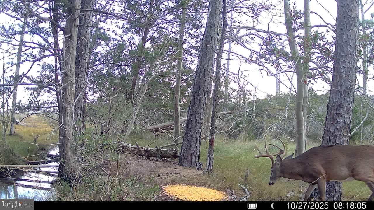 24227 Thicket Point Lane photo 77