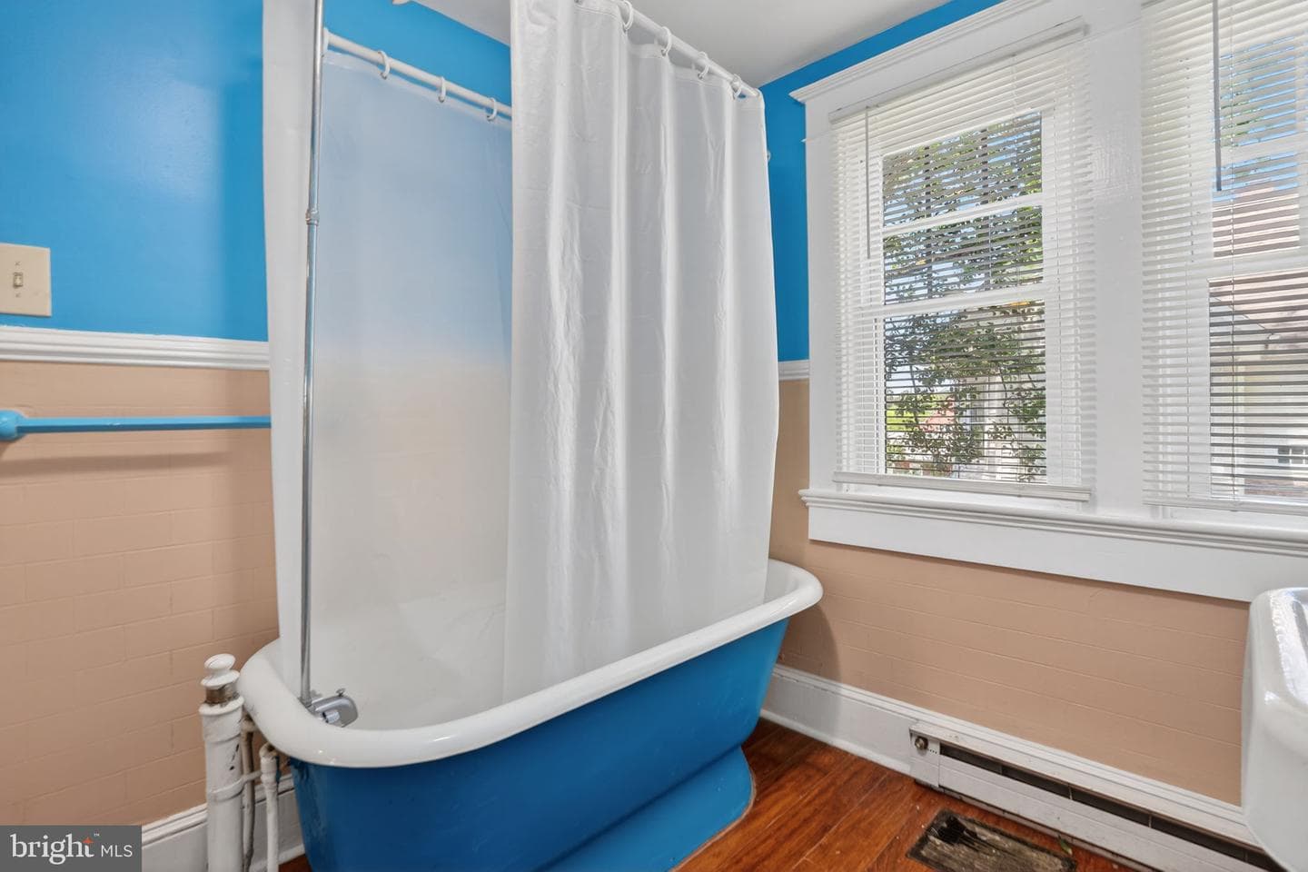 24222 Catherine Street photo 34