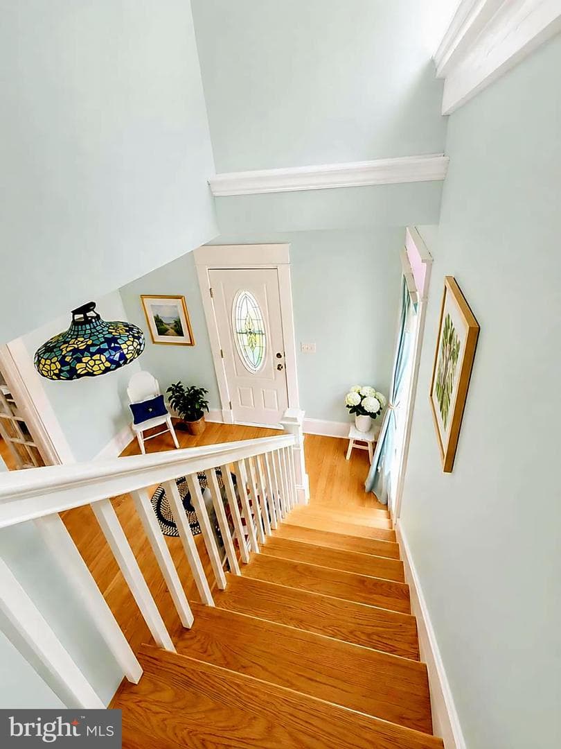 8 South Street photo 24
