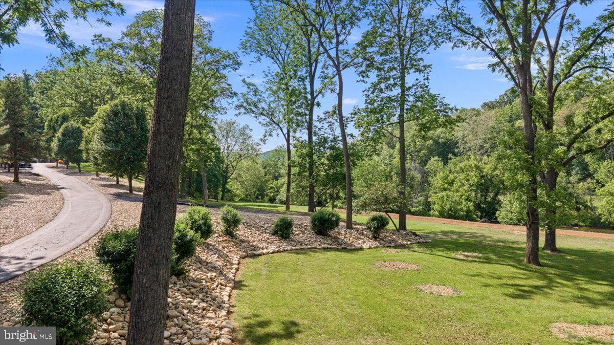 356 River View Drive photo 9