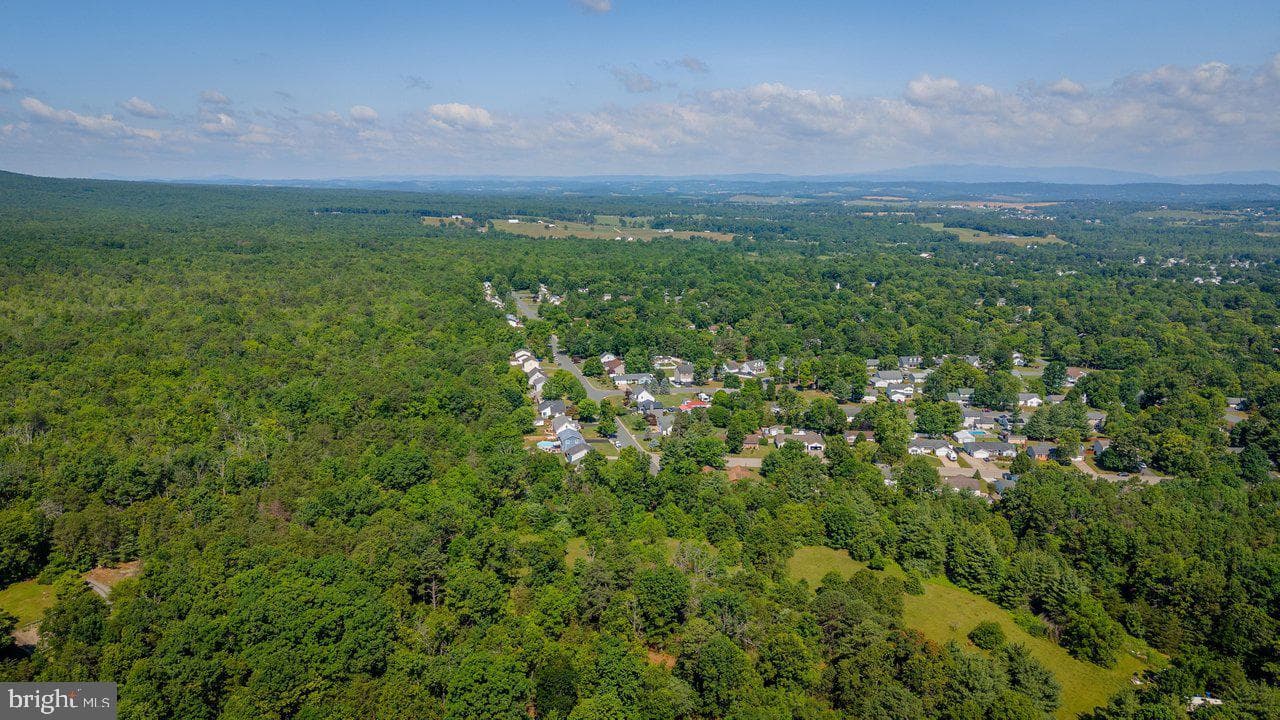 215 Forest Drive photo 83
