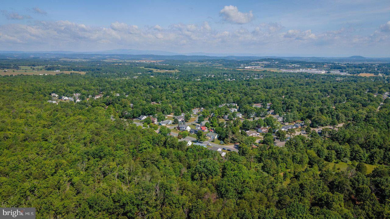 215 Forest Drive photo 84