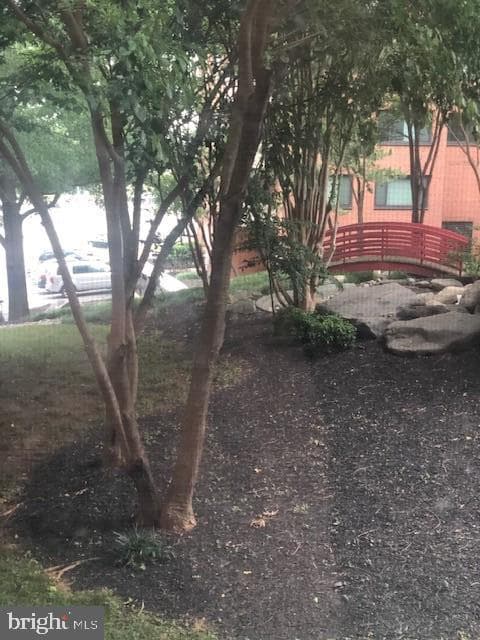 1021 Arlington Boulevard #341 photo 4
