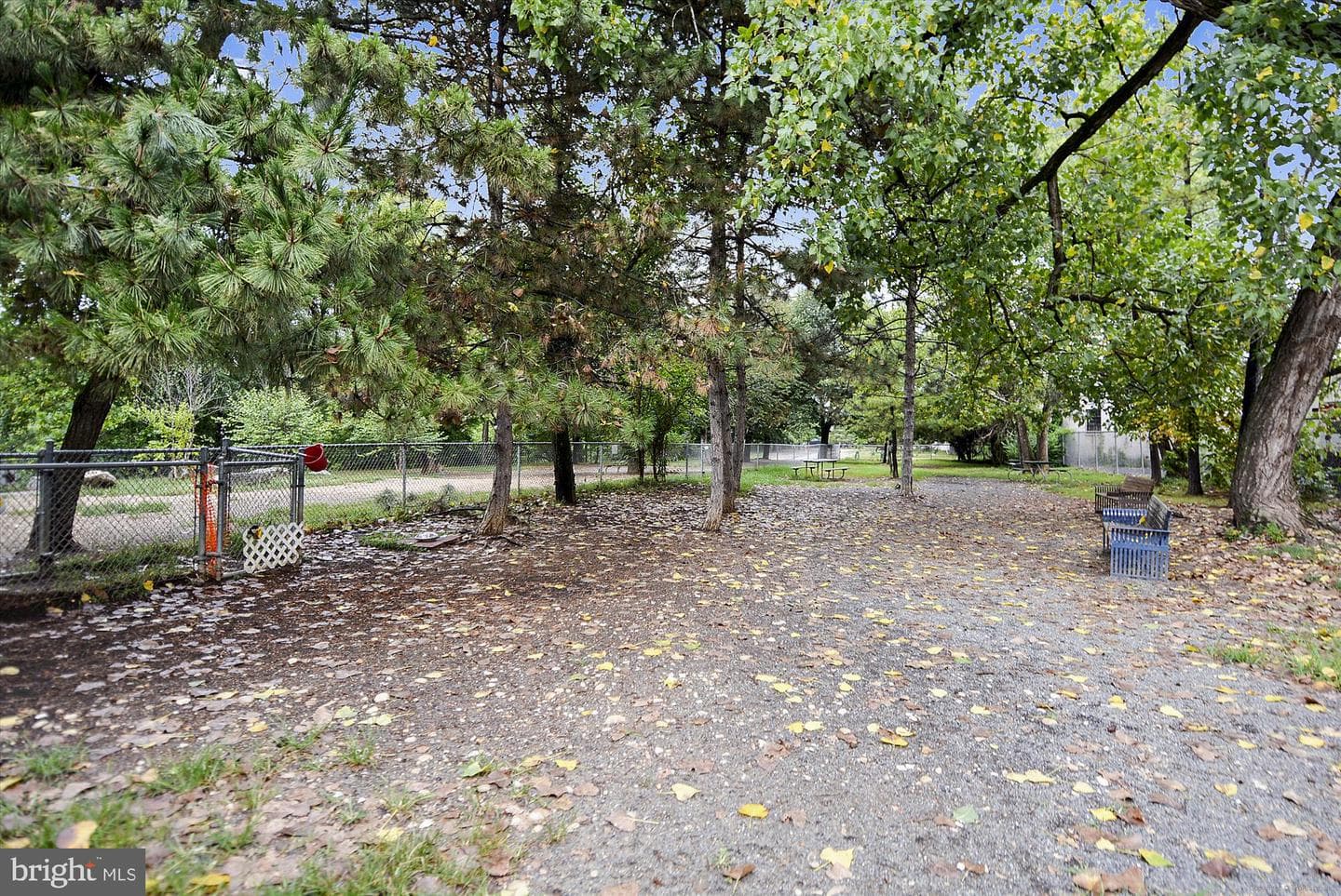 2465 Army Navy Drive #1-306 photo 69