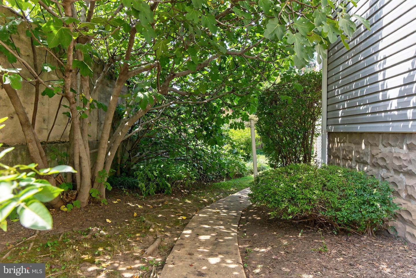 2114 N Oakland Street photo 28