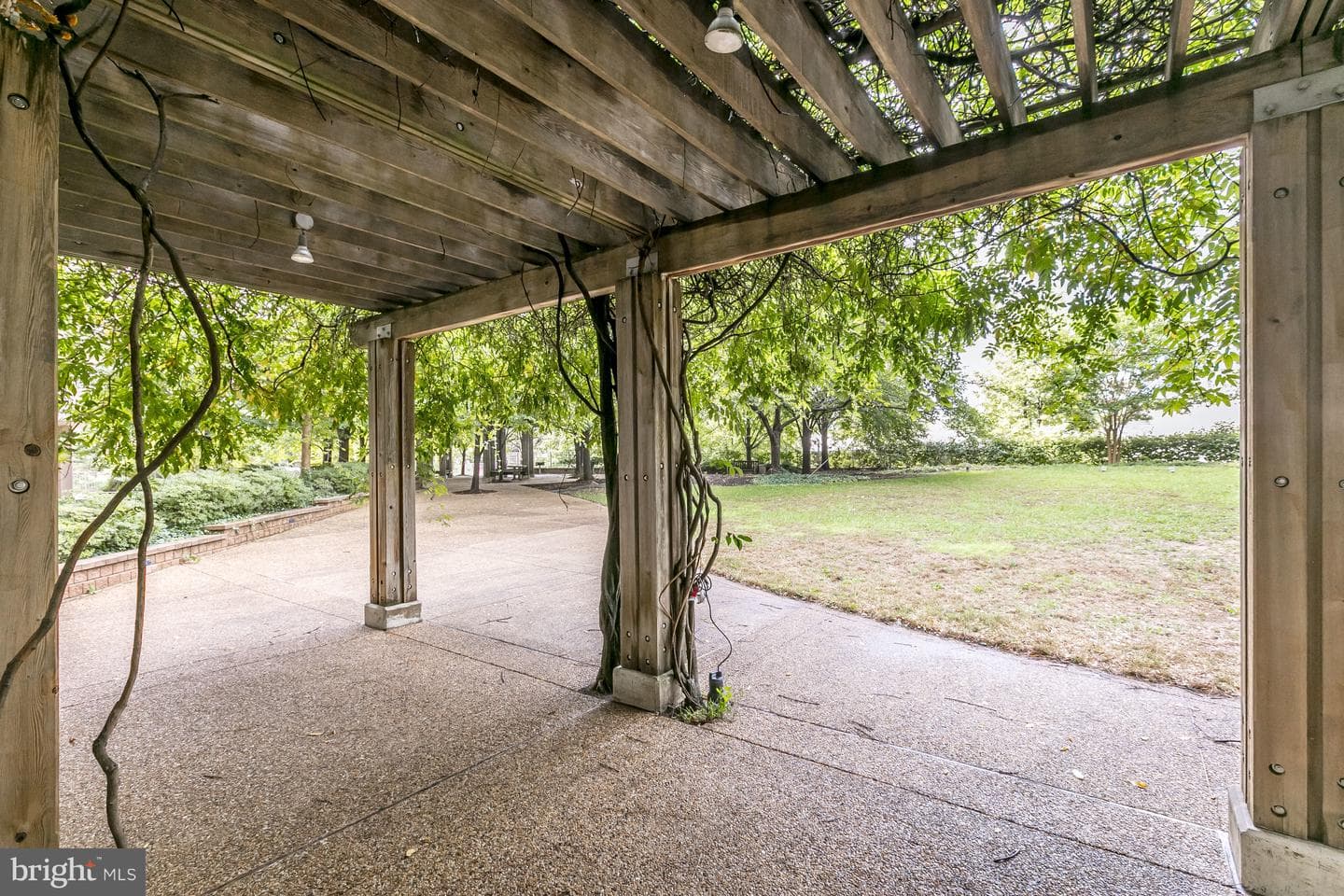 4141 Henderson Road N #303 photo 33