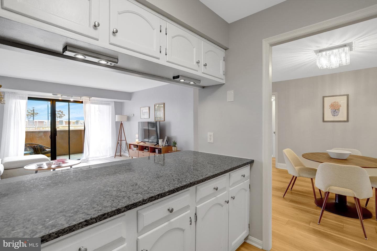 1301 N Courthouse Road #1108 photo 9