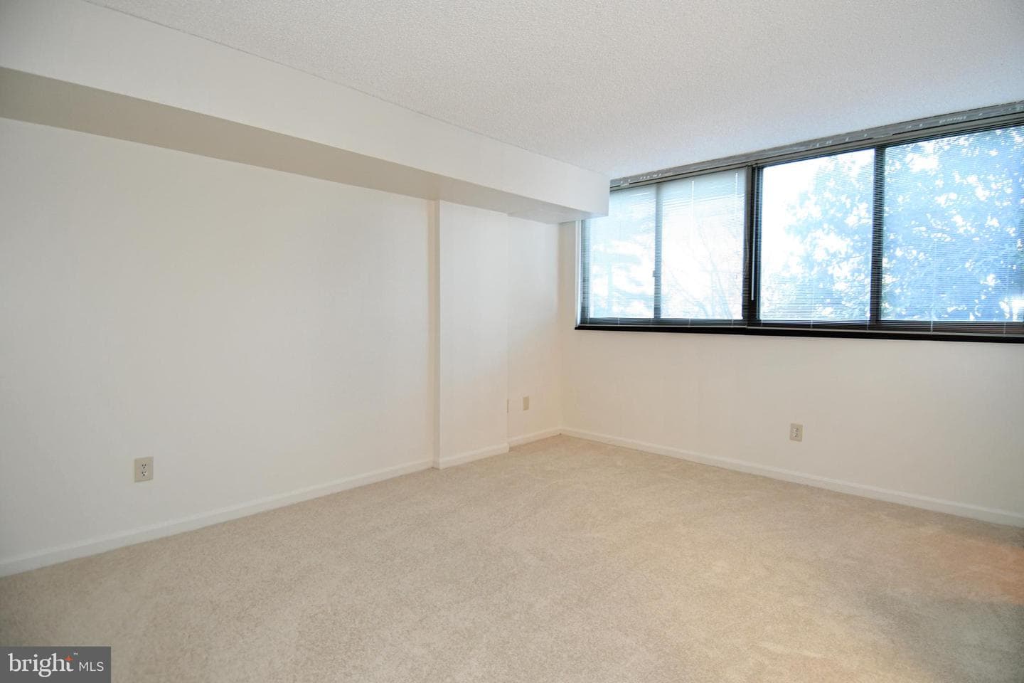 1101 Arlington Ridge Road #316 photo 46