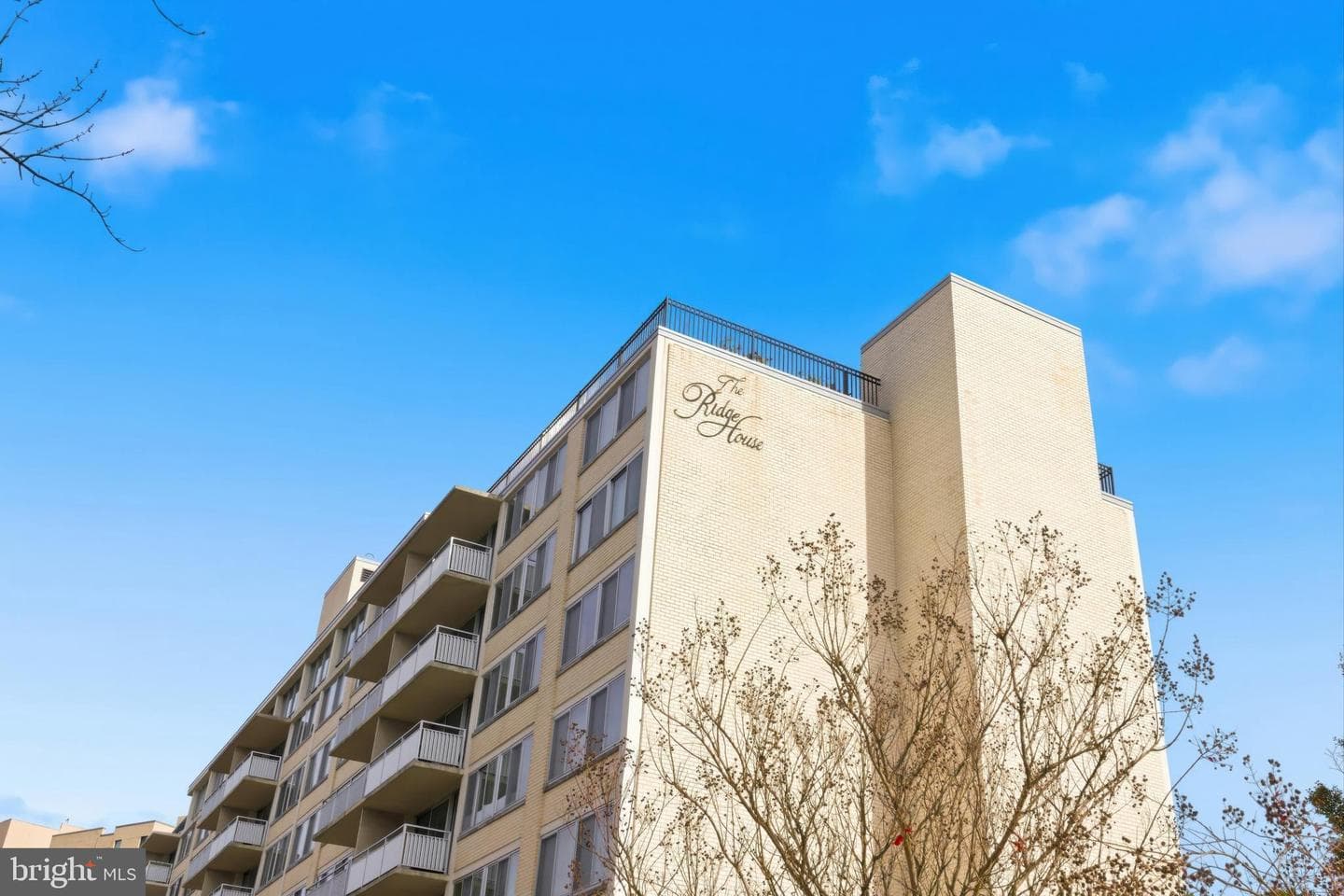 1301 S Arlington Ridge Road #610 photo 5