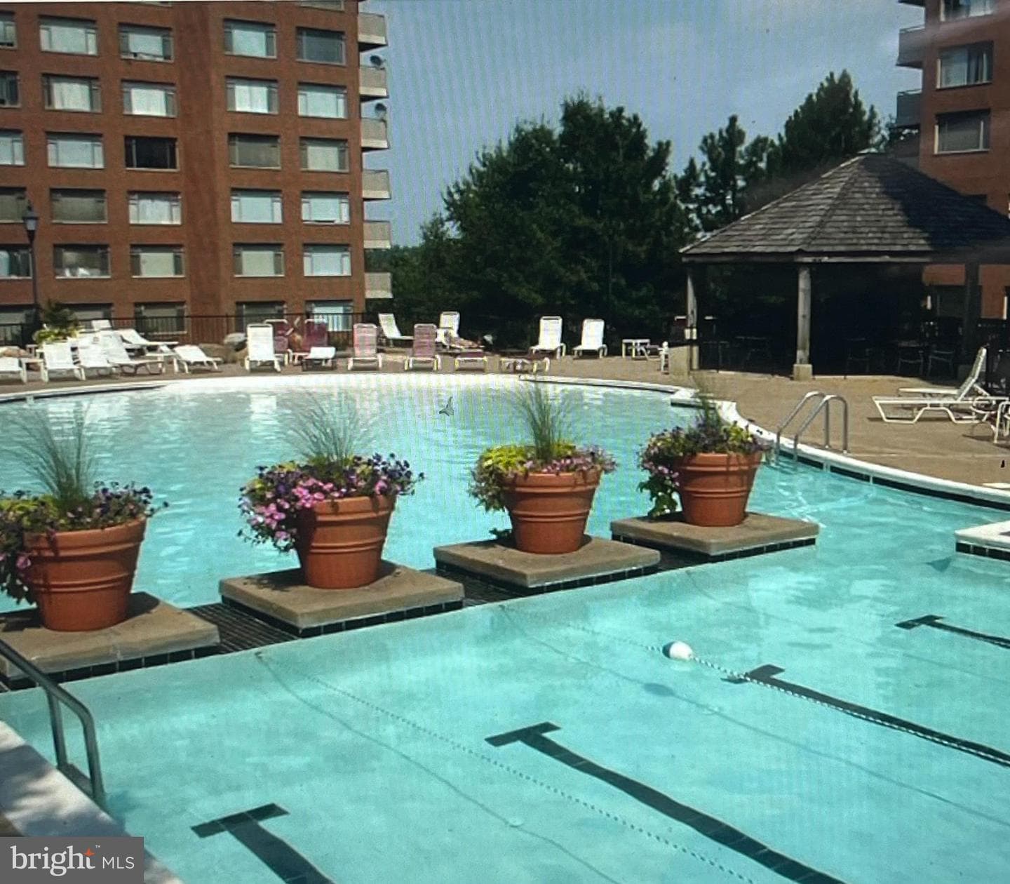 1121 Arlington Boulevard N #706 photo 29