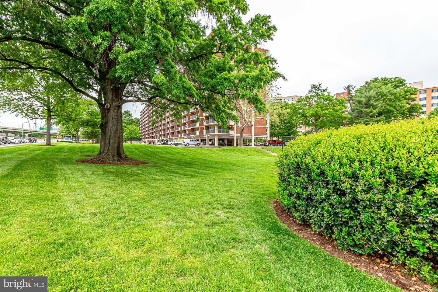 1300 Army Navy Drive #510 photo 63
