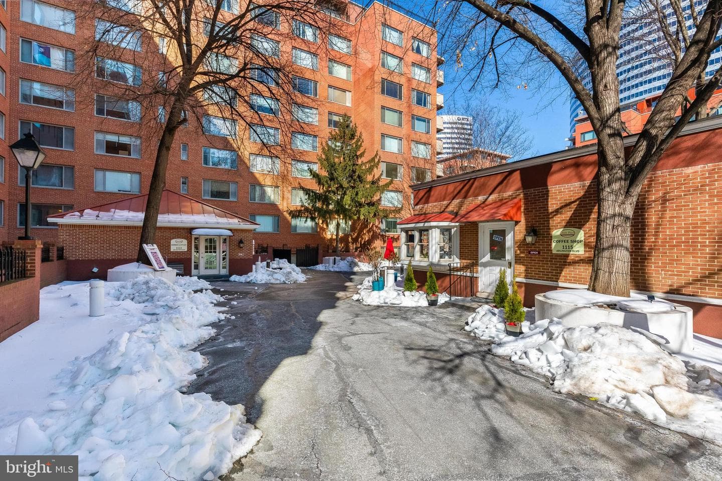 1121 Arlington Boulevard #110 photo 10