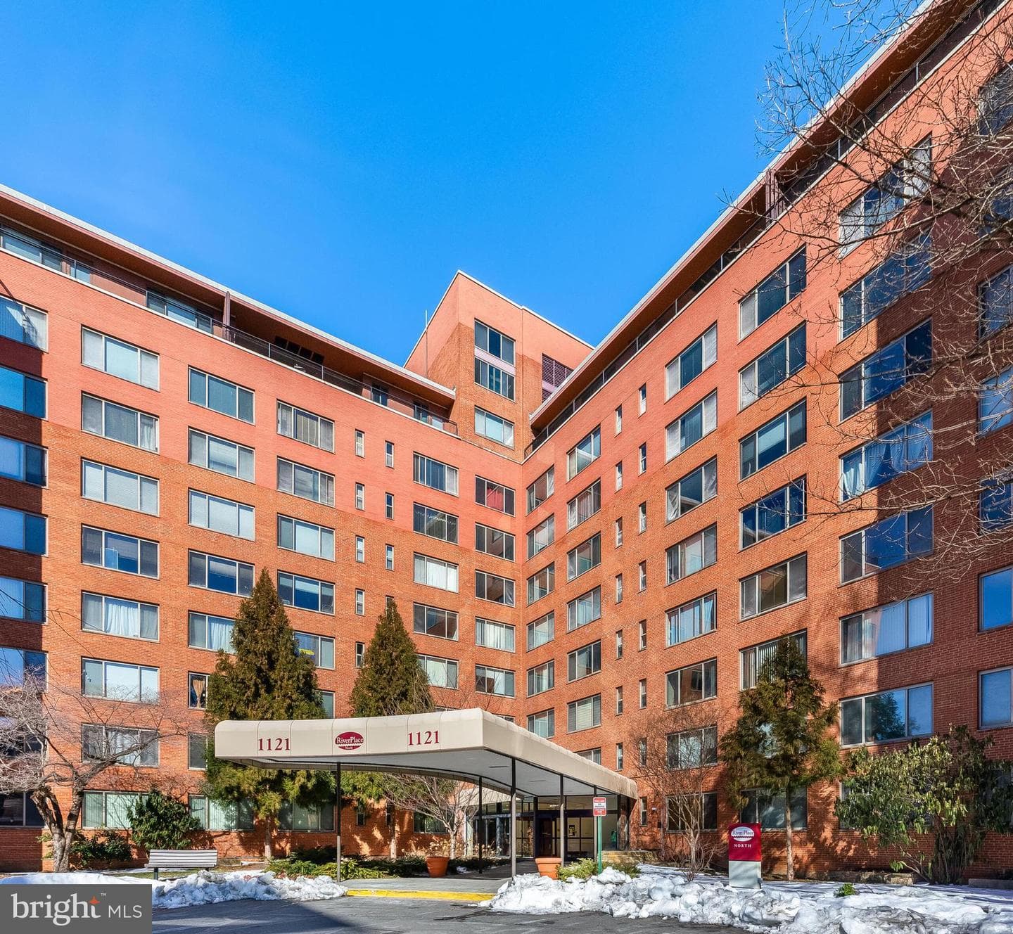 1121 Arlington Boulevard #110 photo 2