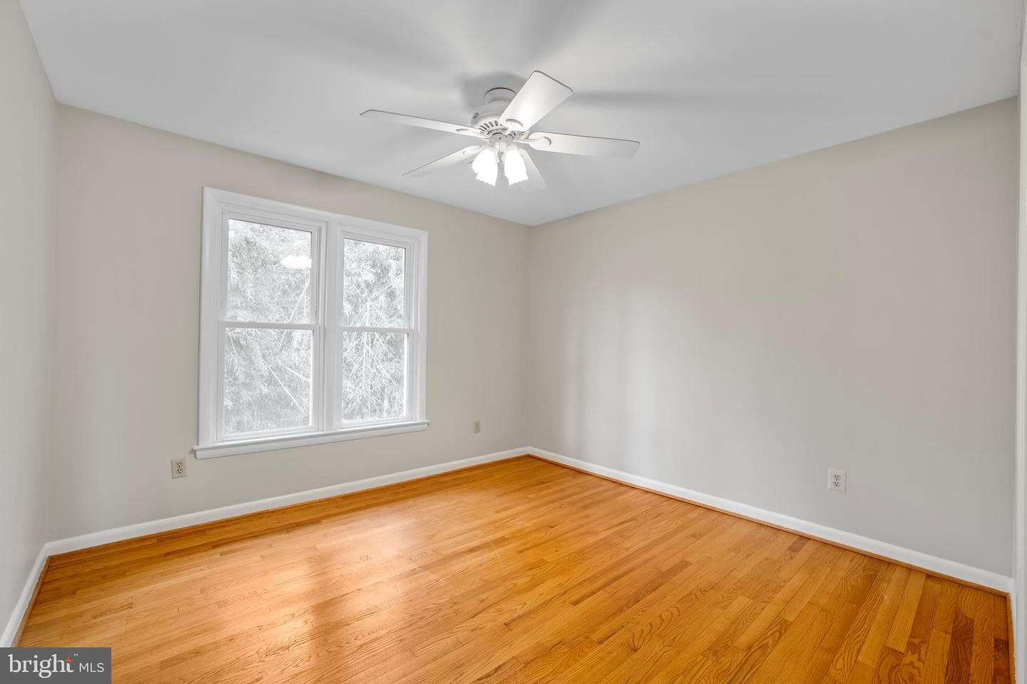 2134 Military Road photo 36