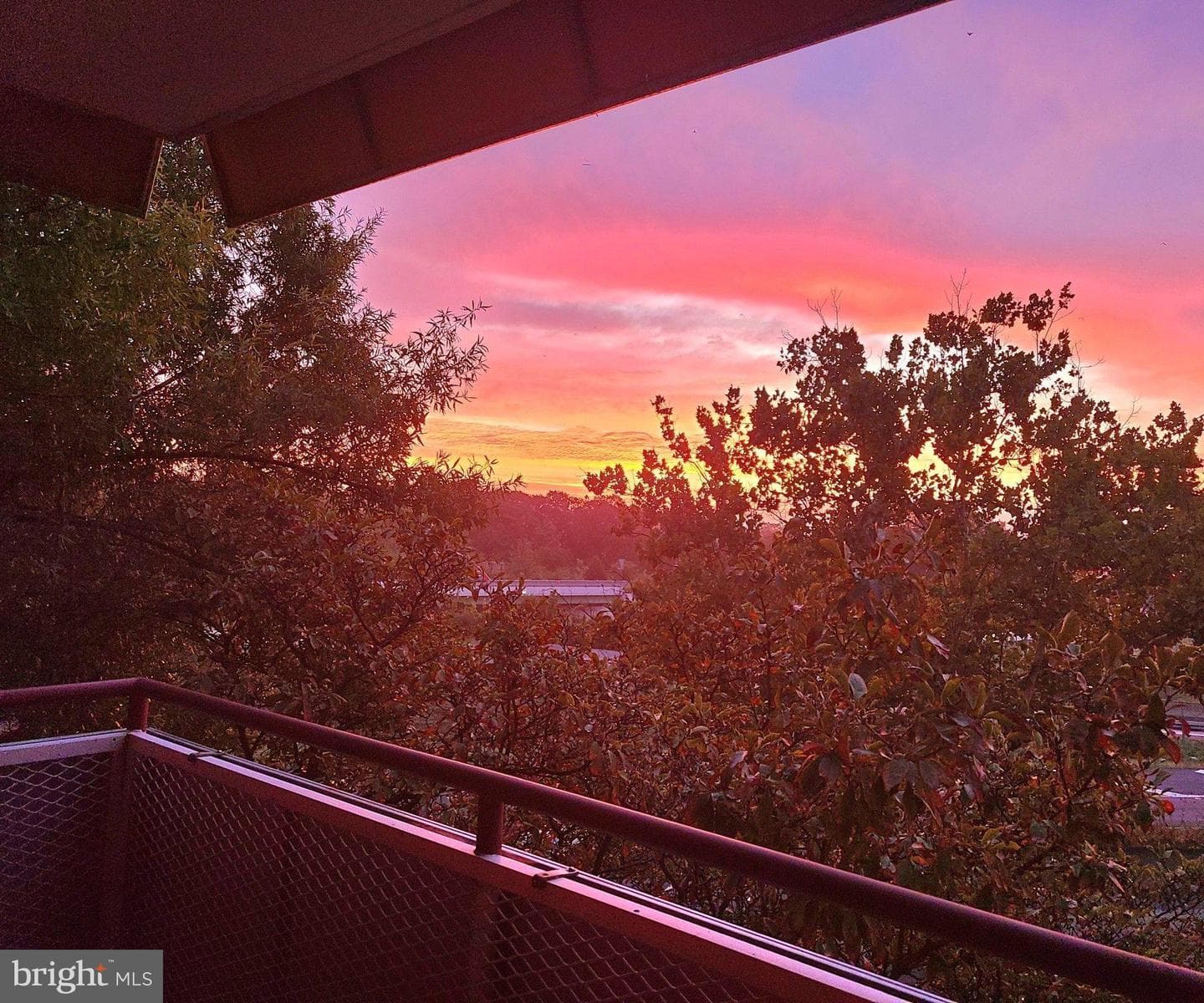 1021 Arlington Boulevard #330 photo 14