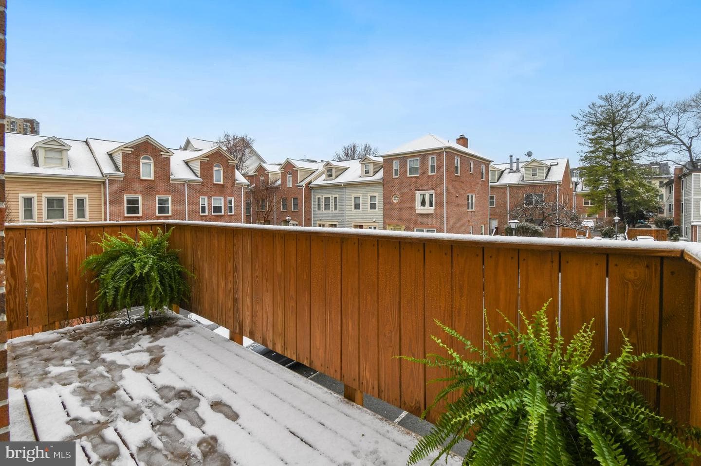 1122 N Stafford Street photo 18
