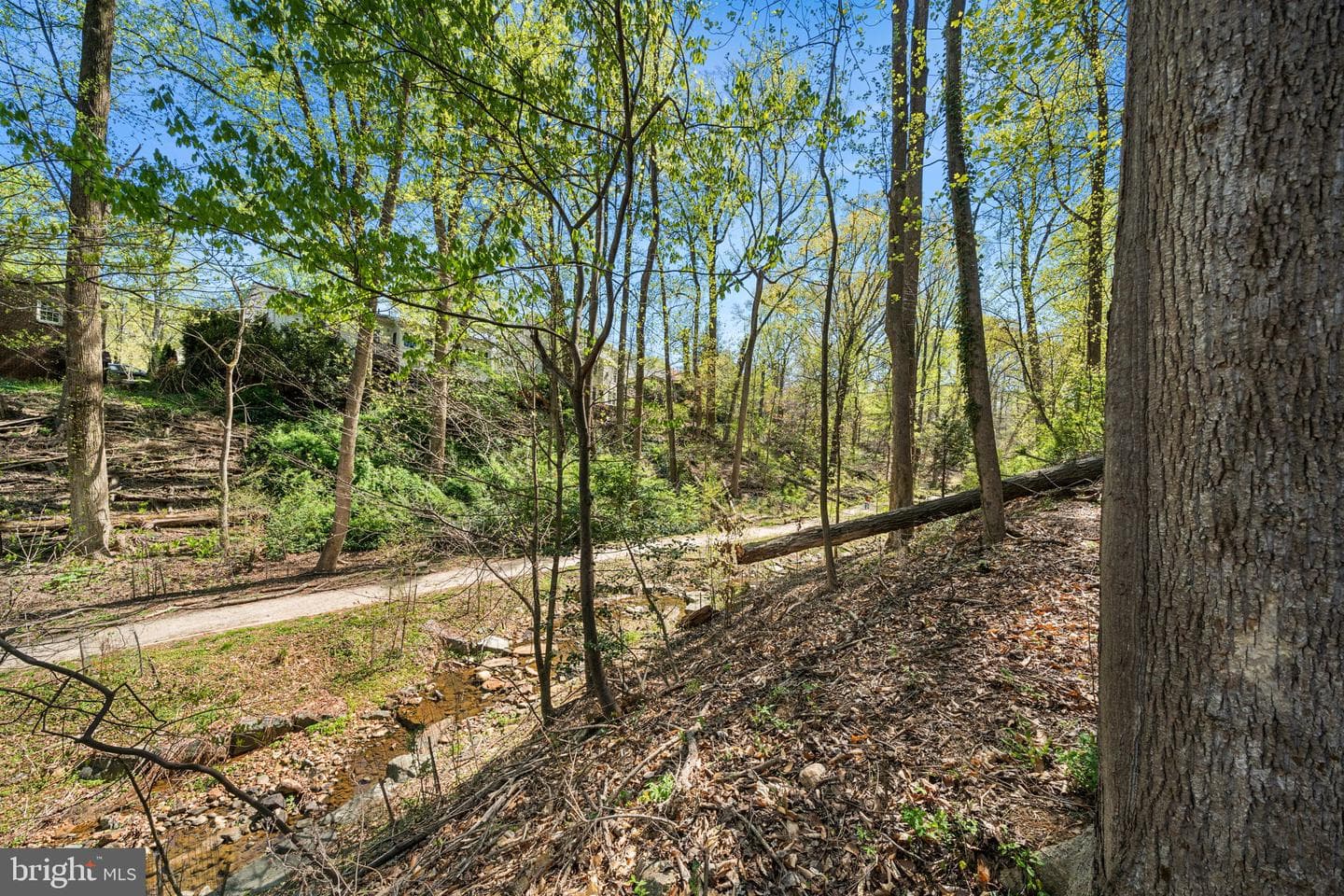 2705 N Upshur Street photo 58