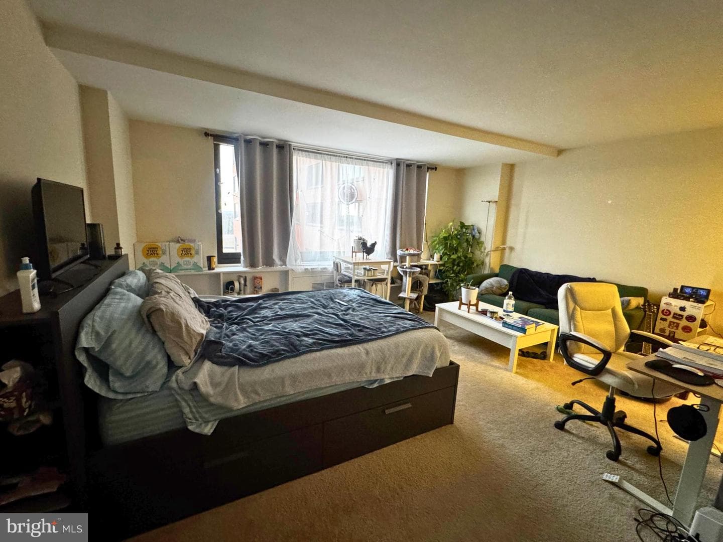 1011 Arlington Boulevard #423 photo 15