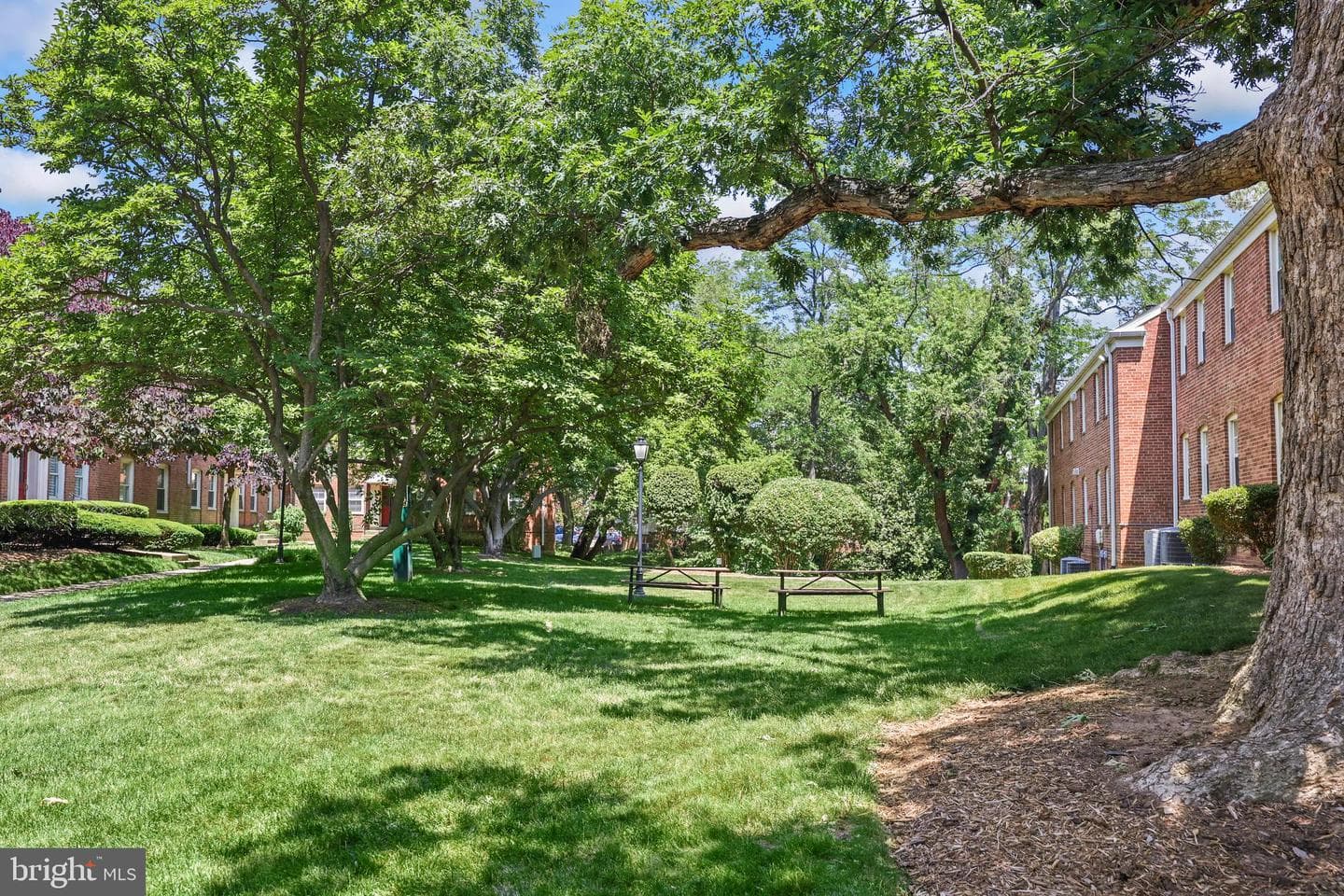 2401 Arlington Boulevard #101 photo 15