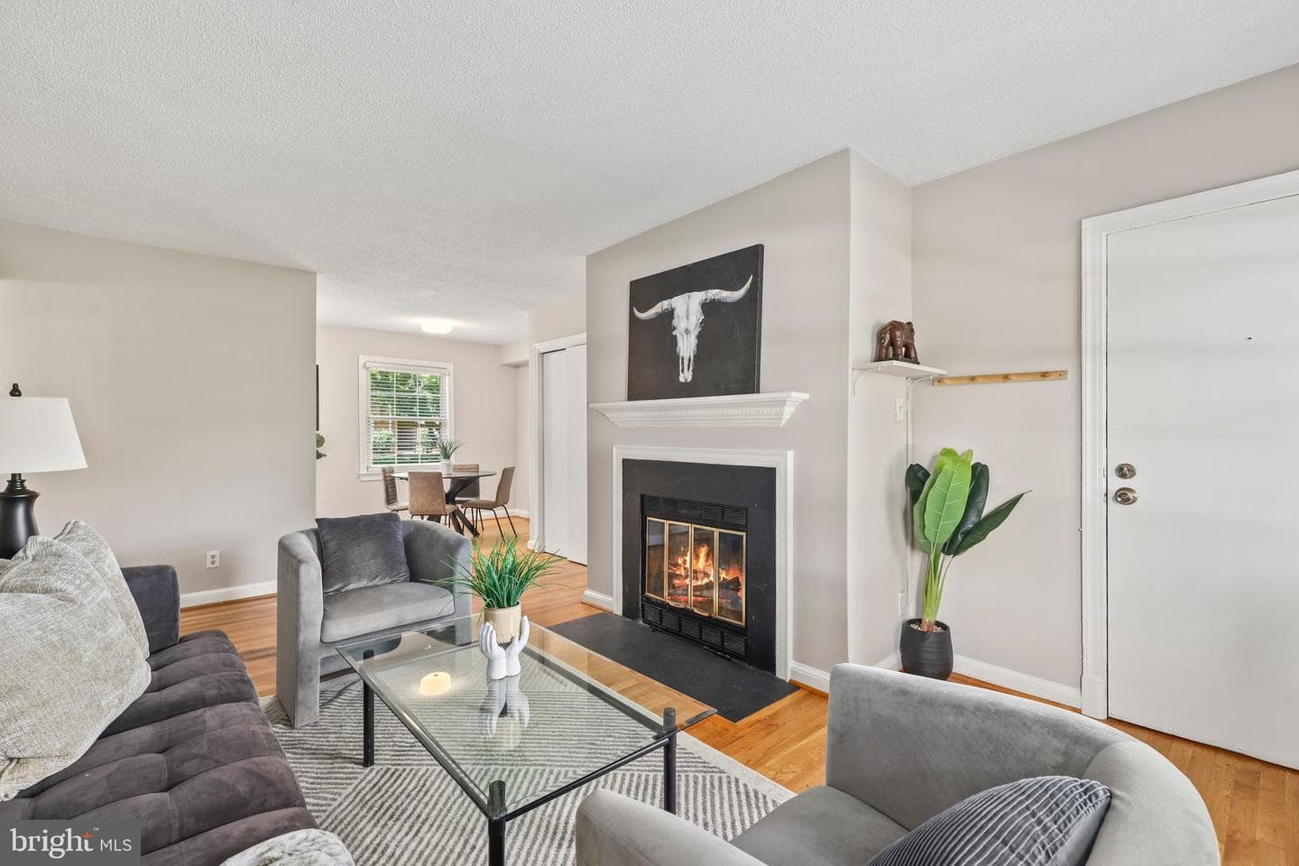 2401 Arlington Boulevard #101 photo 4