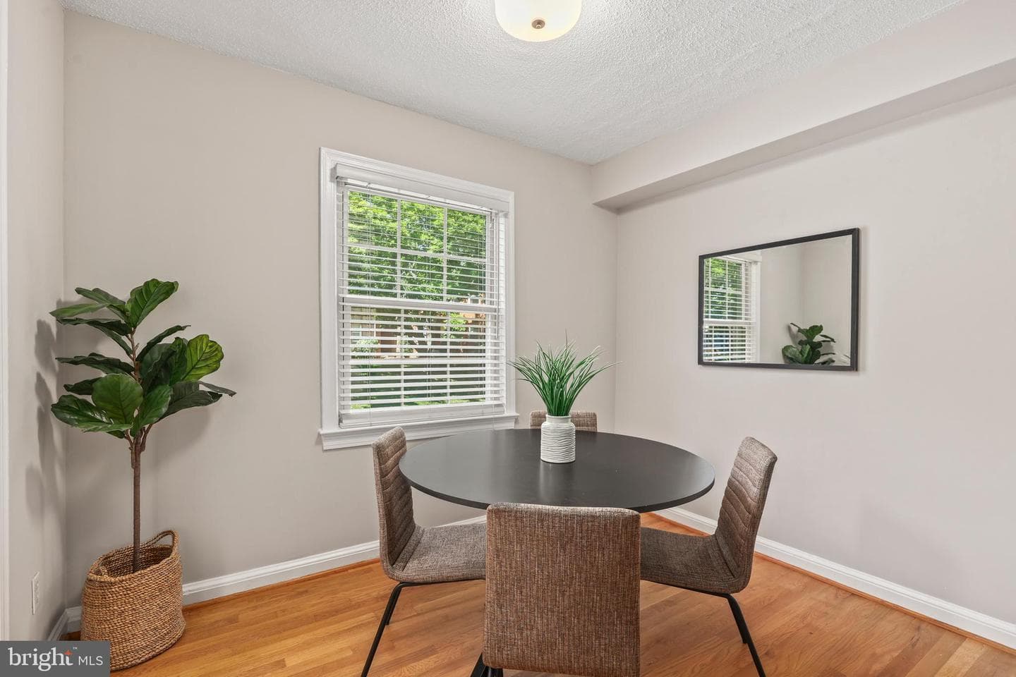 2401 Arlington Boulevard #101 photo 6