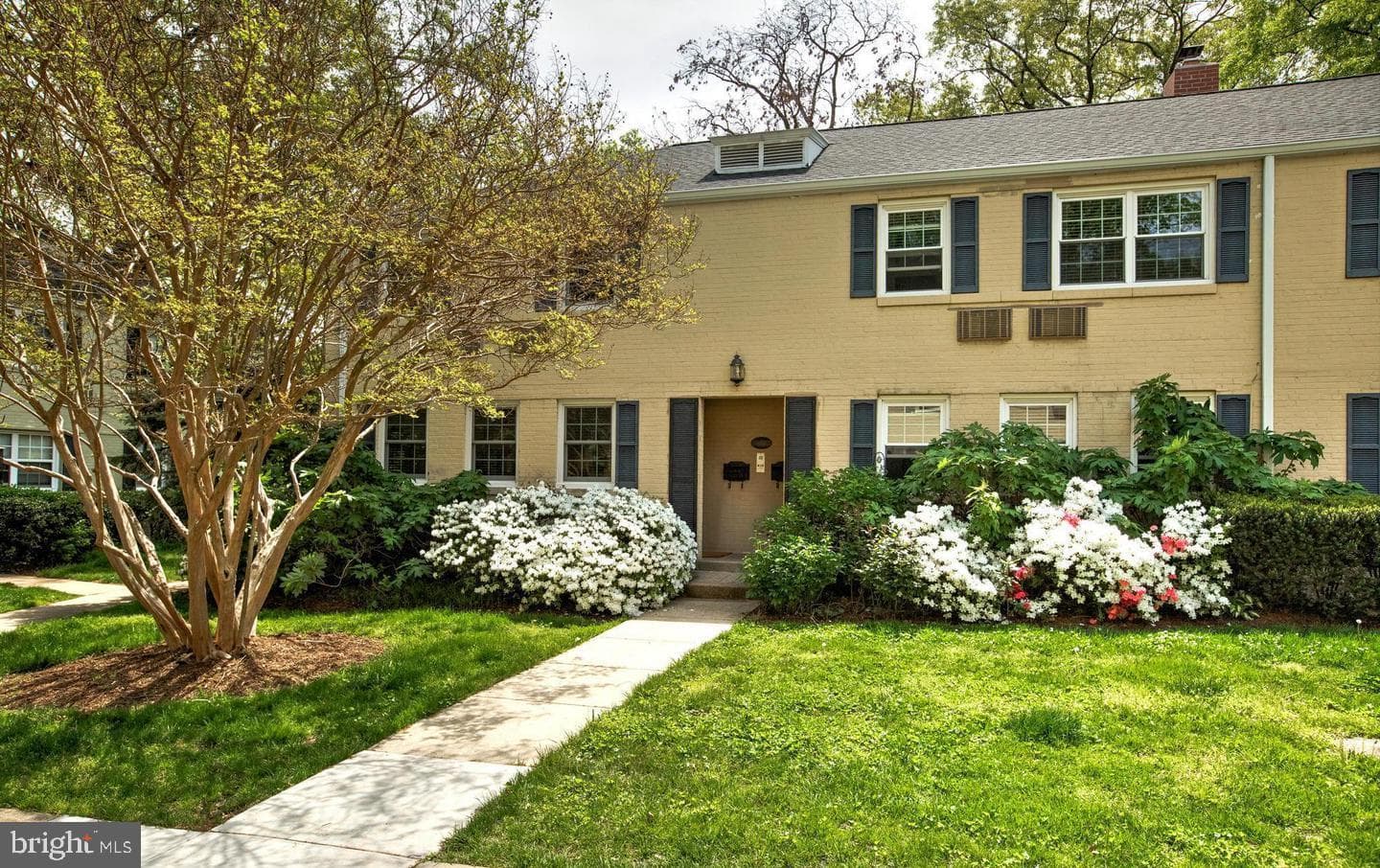 103 N George Mason Drive #103-1 photo 32