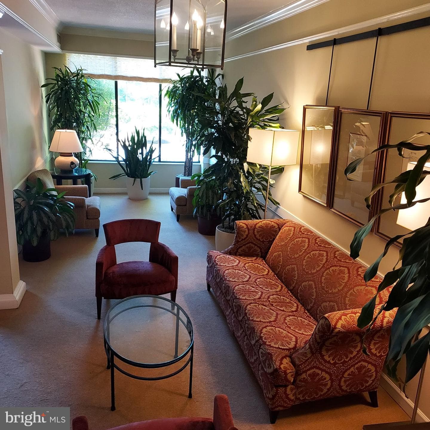 2100 Langston Boulevard #425 photo 21