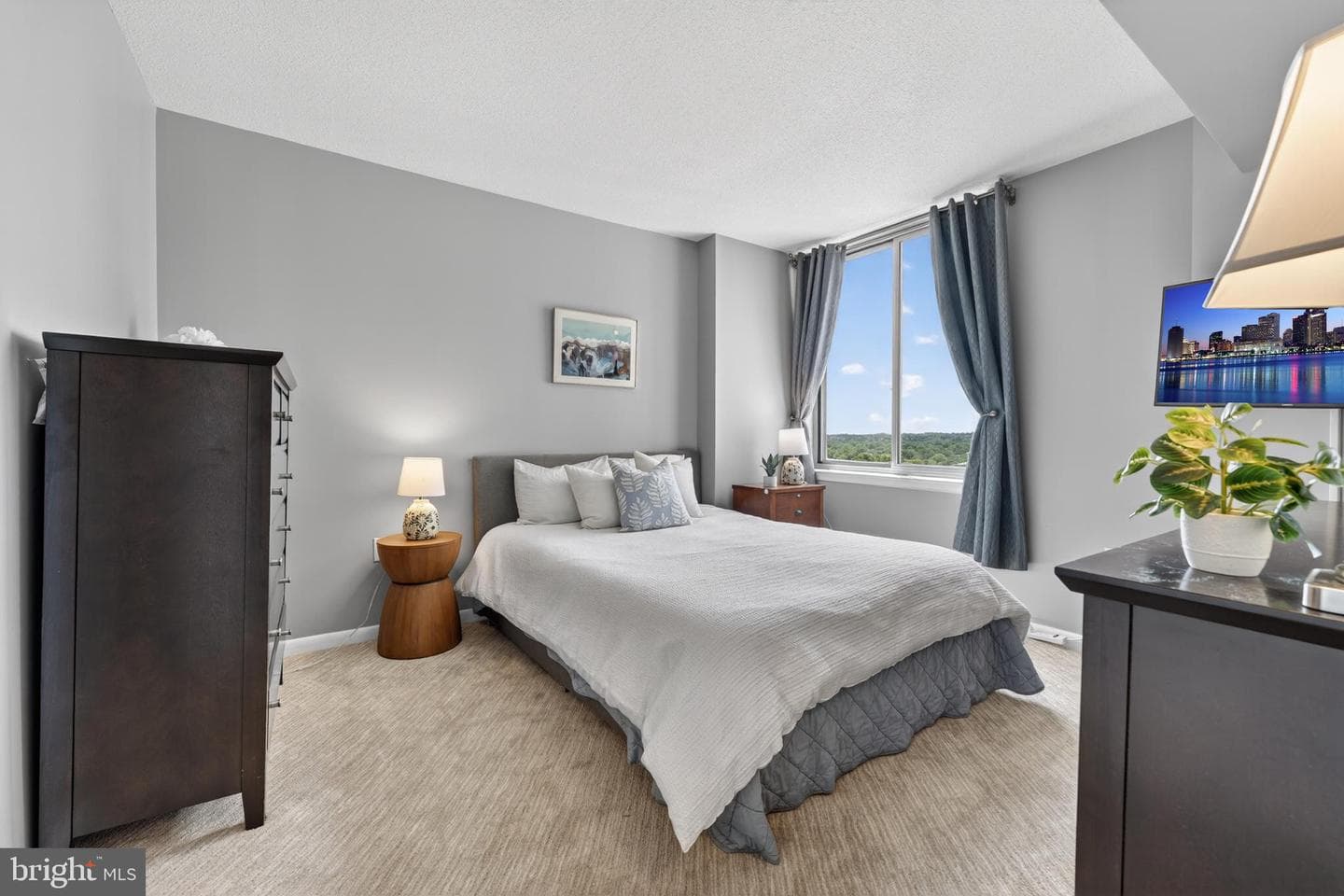 851 N Glebe Road #1301 photo 24
