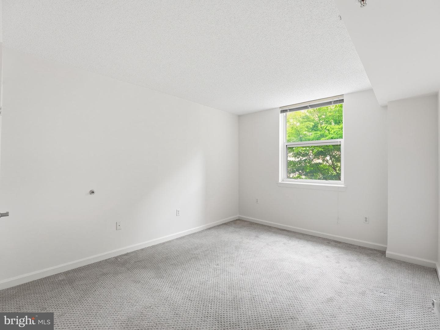880 N Pollard Street #222 photo 20