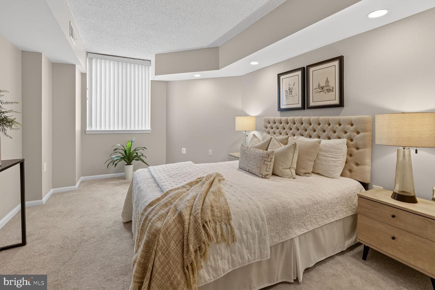 1001 N Randolph Street #106 photo 12