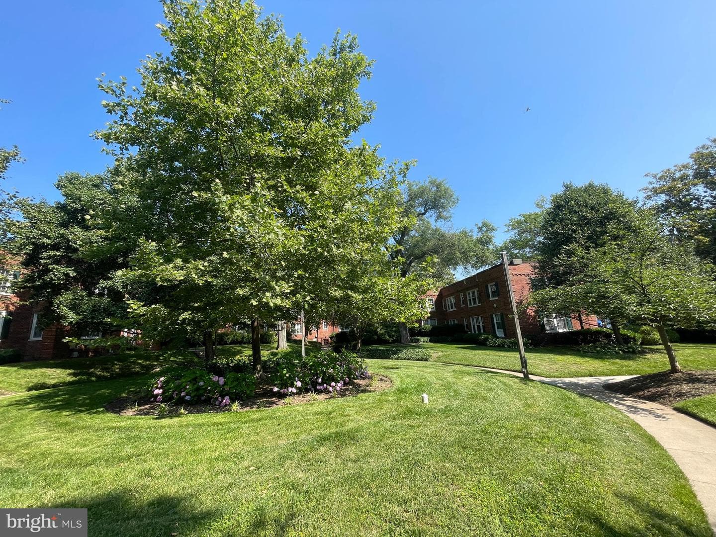 1736 N Rhodes Street #5-290 photo 23