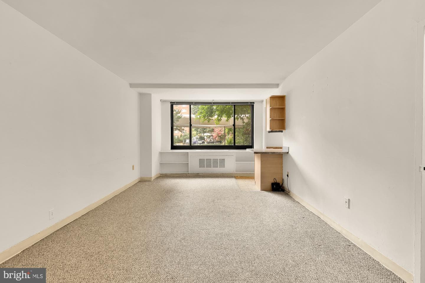 1021 Arlington Boulevard #446 photo 4