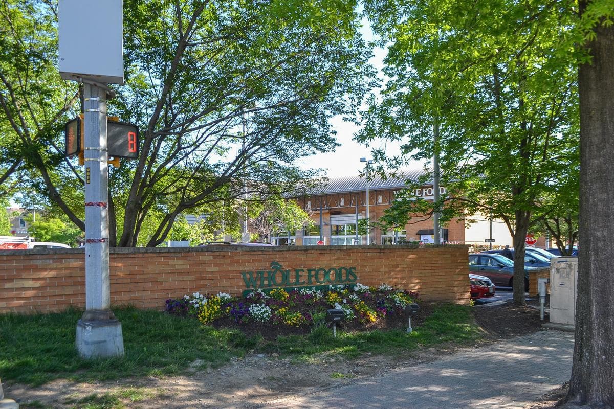 1401 N Rhodes Street #301 photo 43