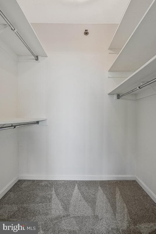 1805 Crystal Drive #807s photo 26