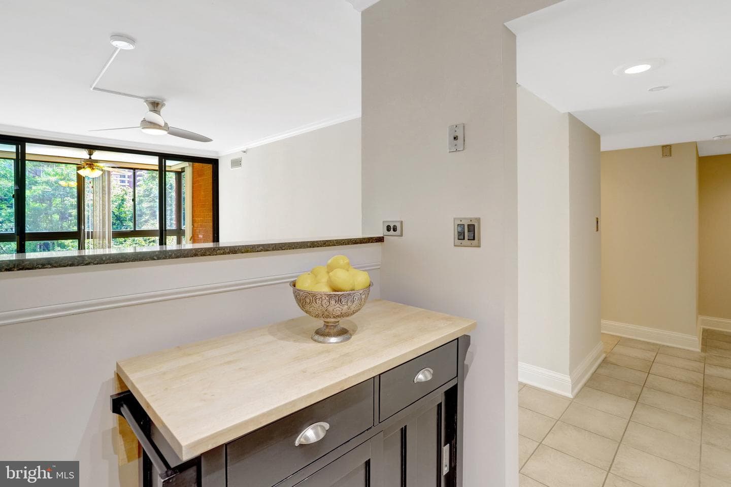 1001 N Randolph Street #302 photo 5