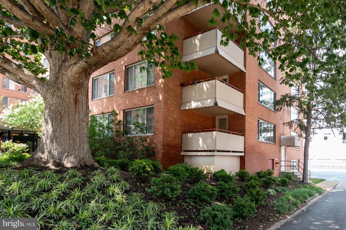 1121 Arlington Boulevard #206 photo 36