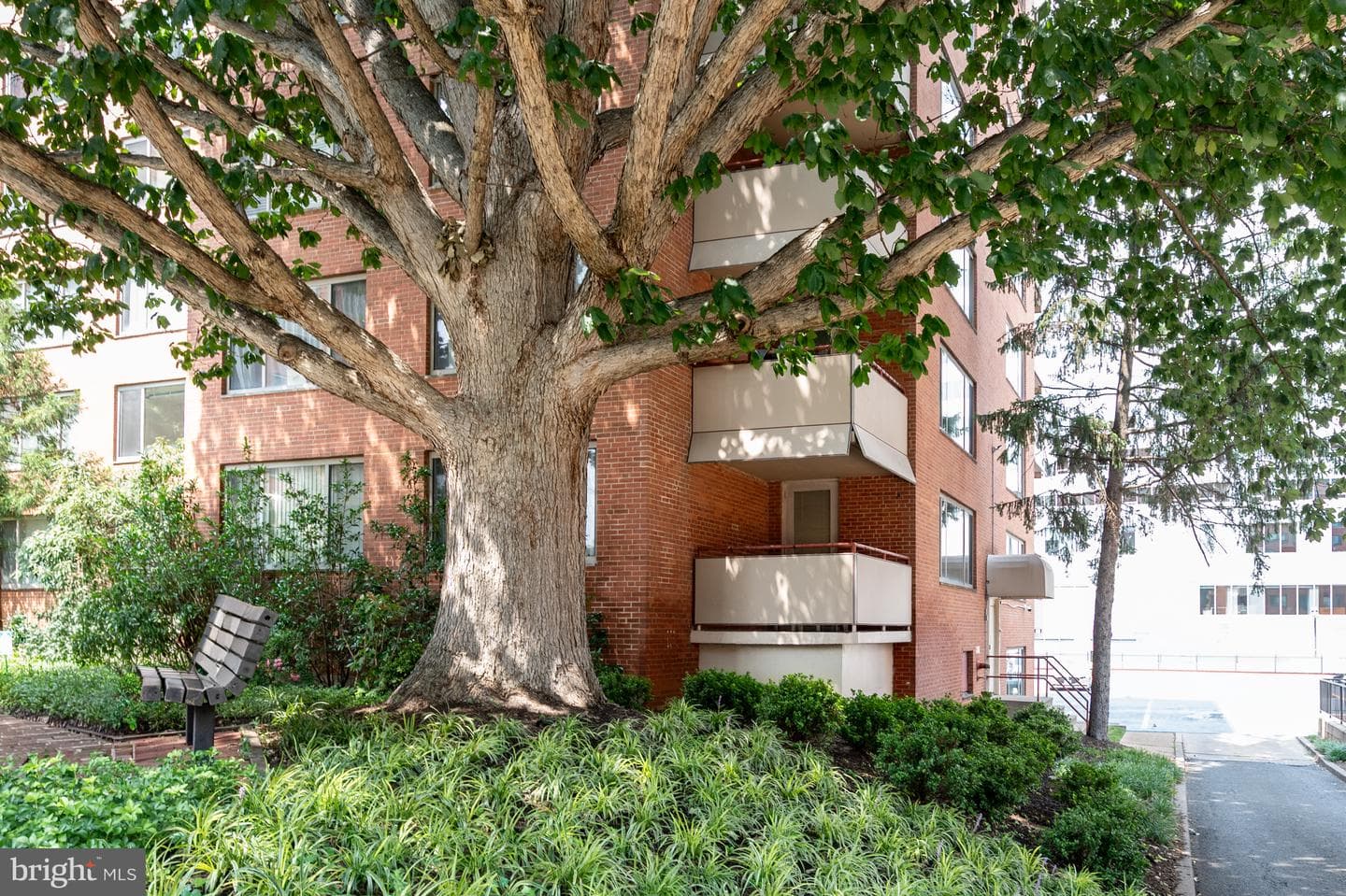1121 Arlington Boulevard #206 photo 37