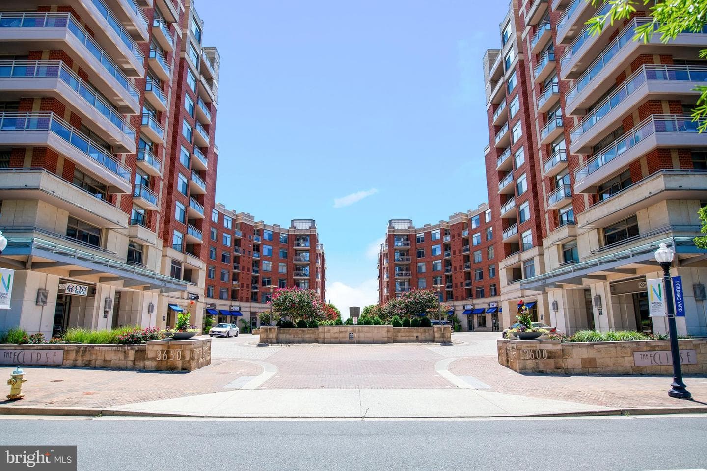 3650 S Glebe Road #445 photo 1
