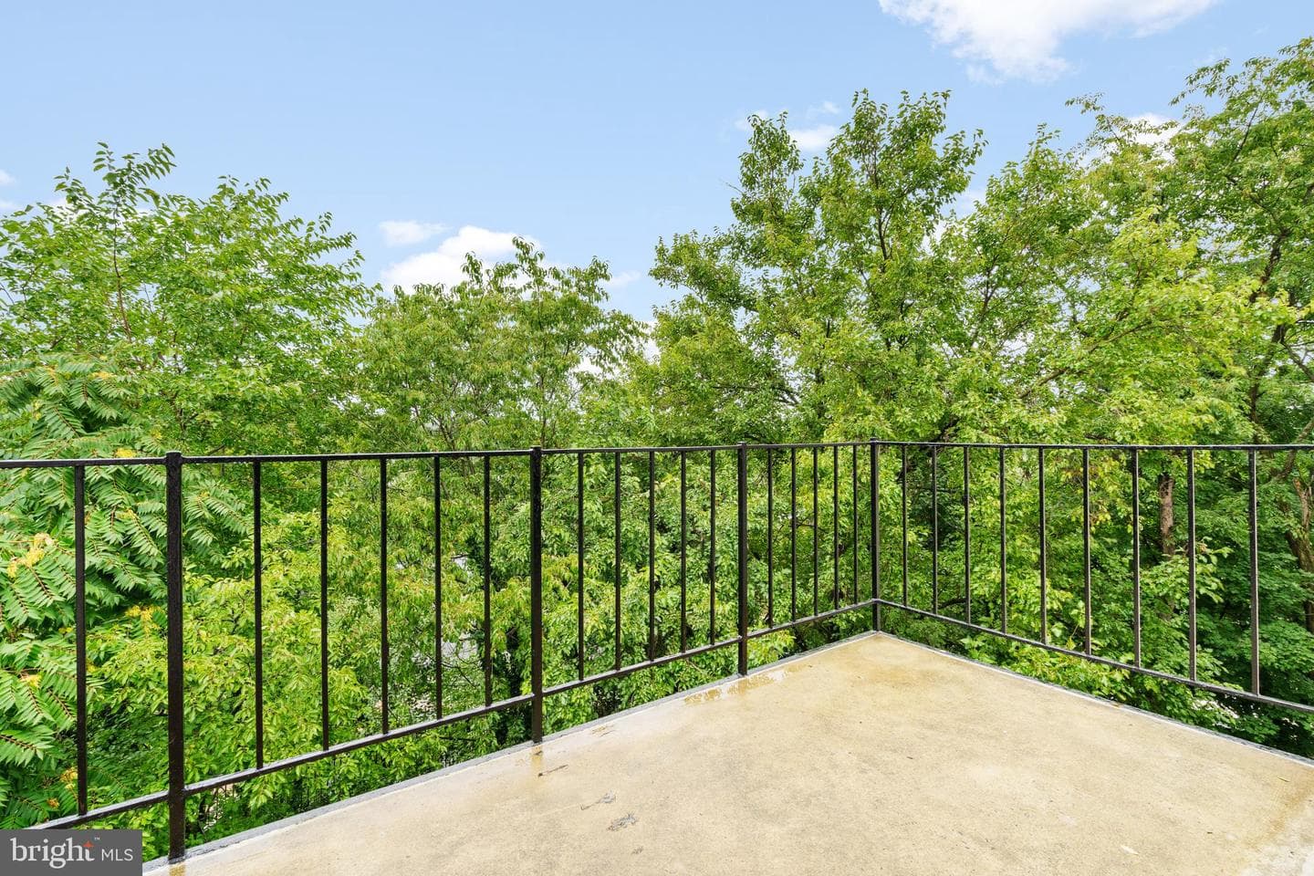 438 N Armistead Street #303 photo 15