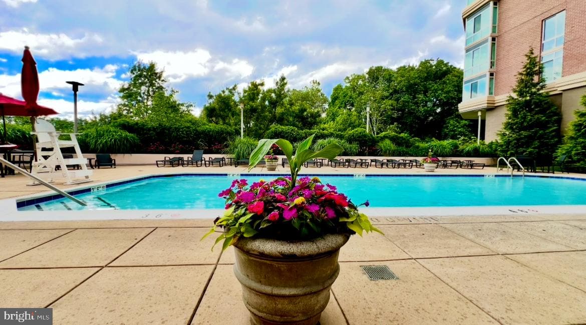 3101 N Hampton Drive #814 photo 91