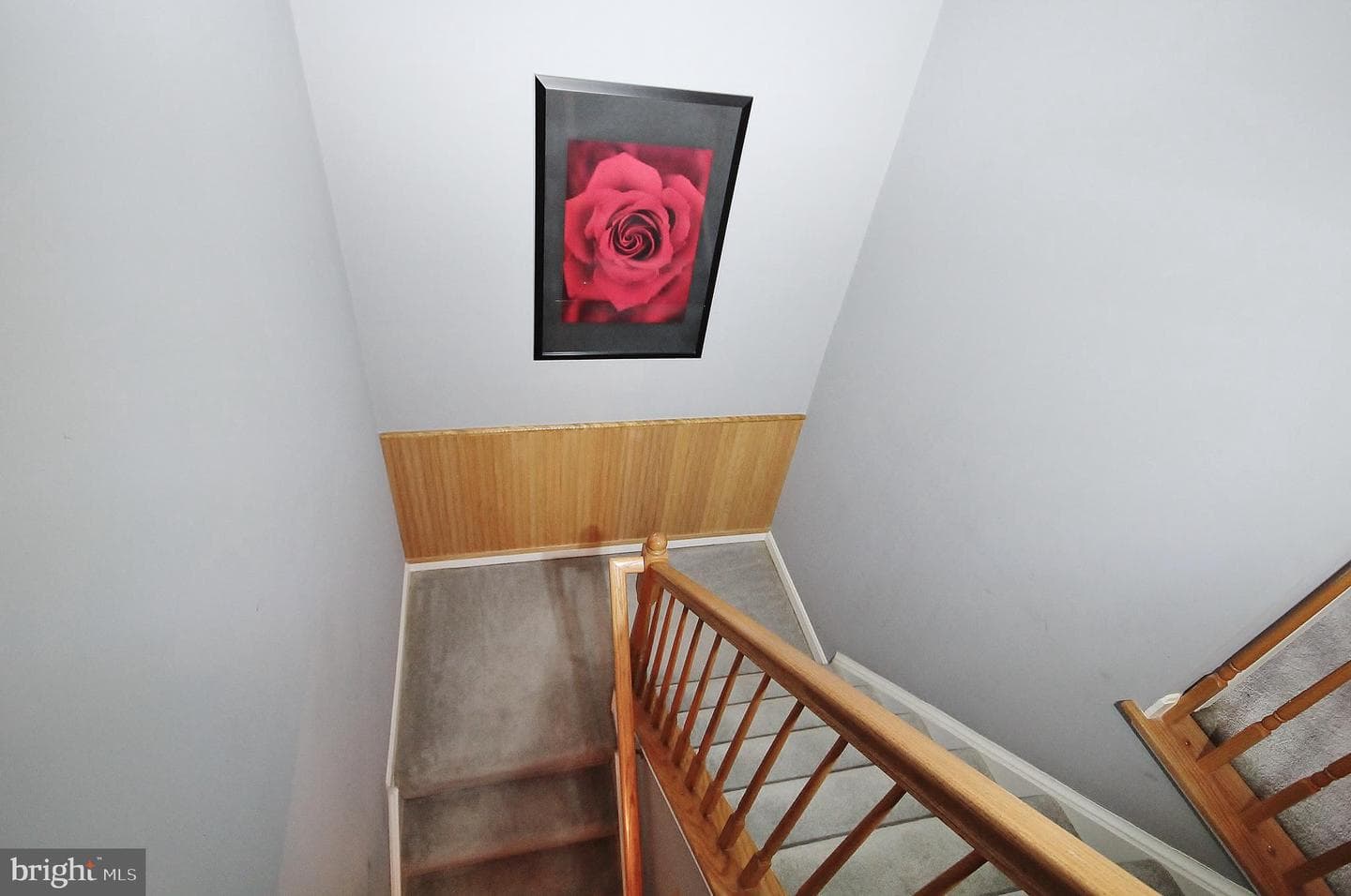 123 Cameron Parke Place photo 23